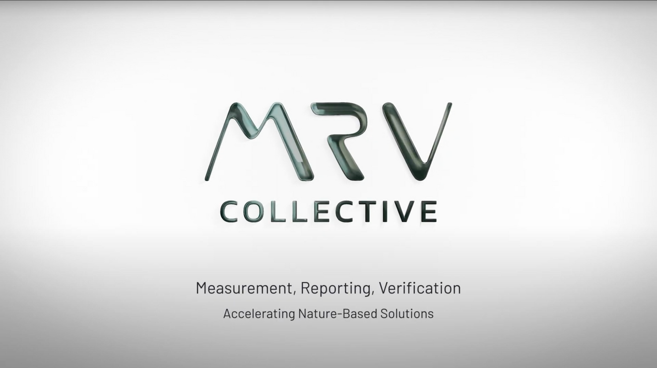 DMRV Roundtable