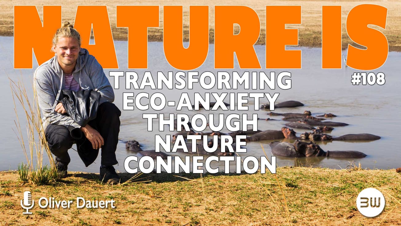 Reconnecting with Nature to Transforming Eco-Anxiety into Action