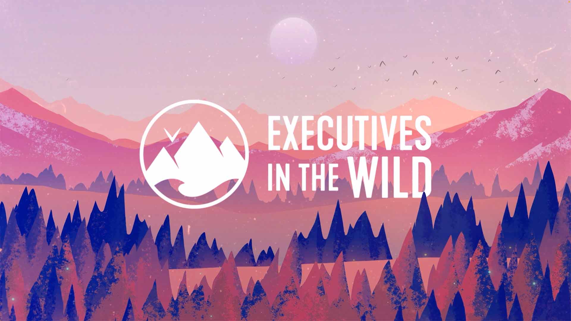 Executives in the Wild
