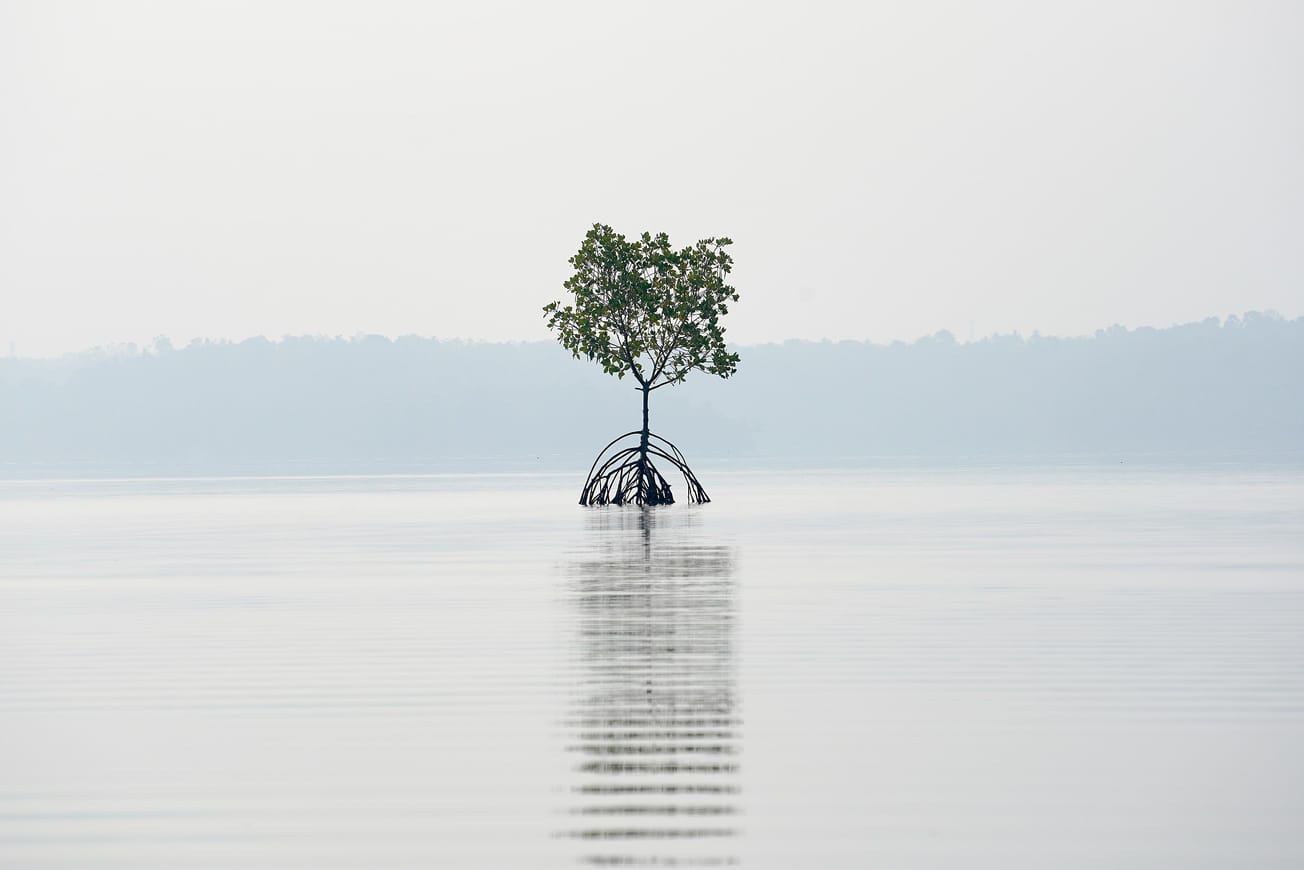 How Close Are We to Our Oceans Transitioning From CO2 Sinks to Emitters?